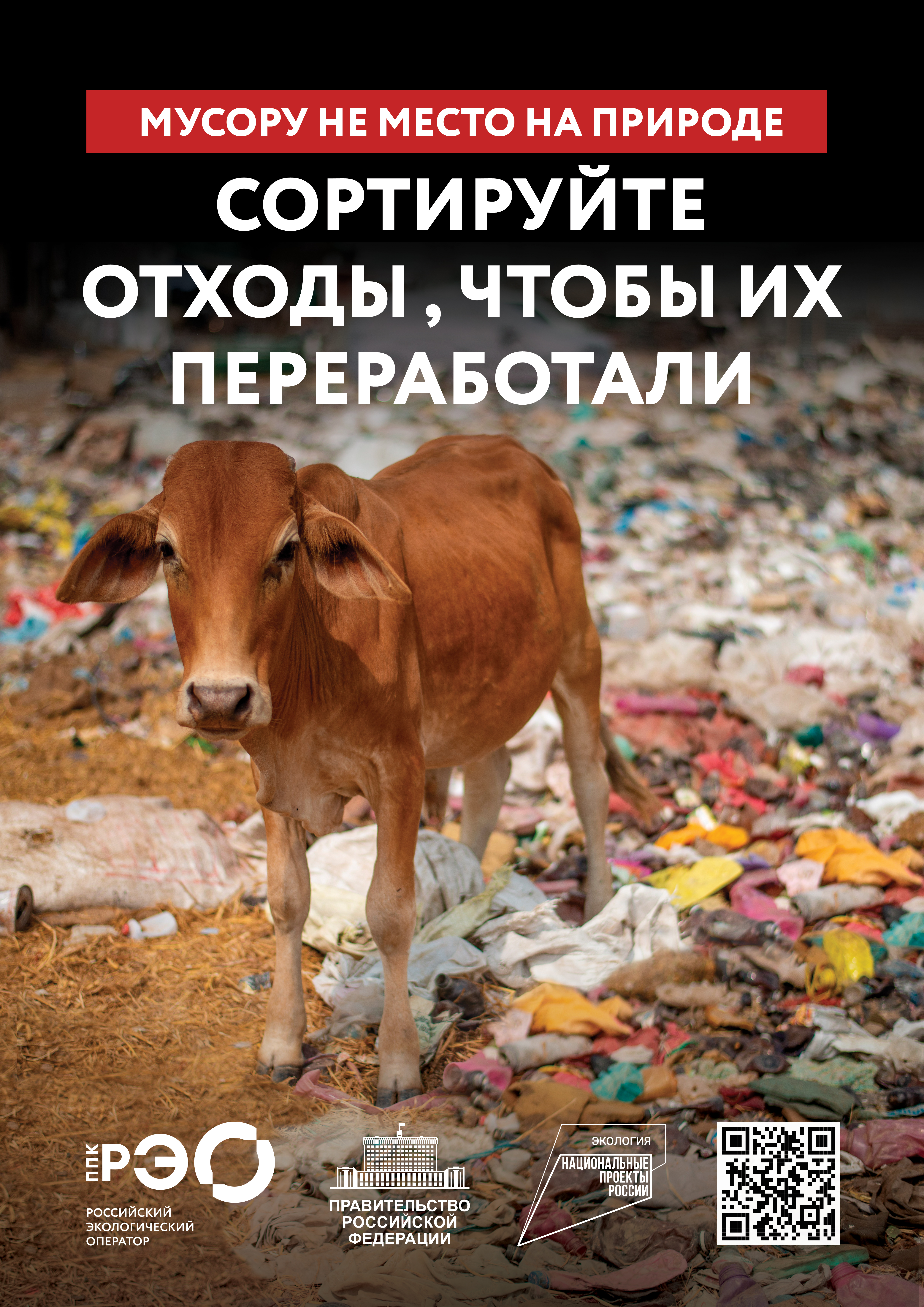 Seria 9 animal poster _A2_4.jpg